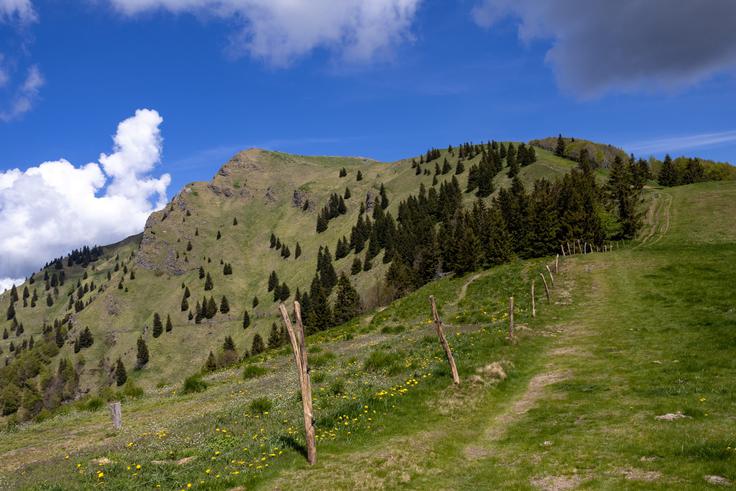 Še zadnji klanec na vrh Porezna. | Foto: Matej Podgoršek