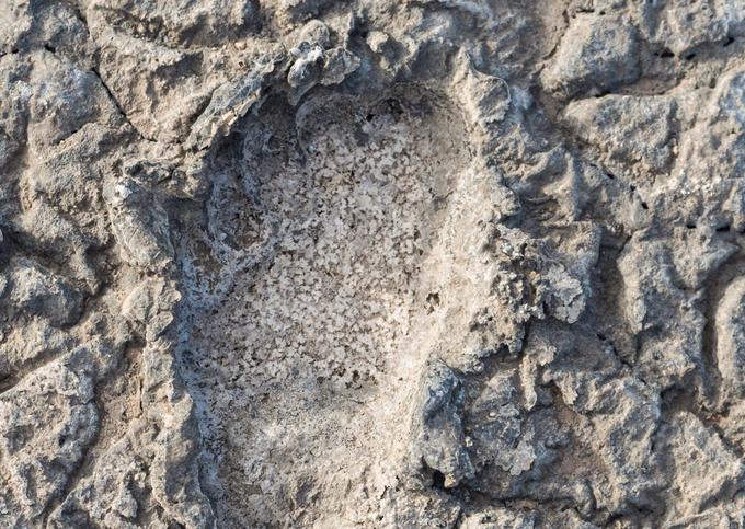 Zelo dobro ohranjen odtis stopala v pepelu ognjenika Ol Doinyo Lengai na obali bližnjega jezera Natron. | Foto: Thinkstock