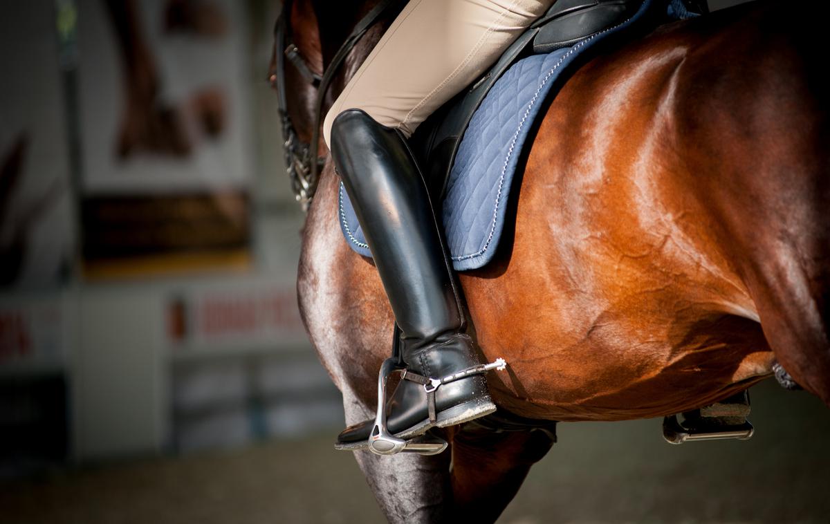 Konj | Fotografija je simbolična. | Foto Shutterstock