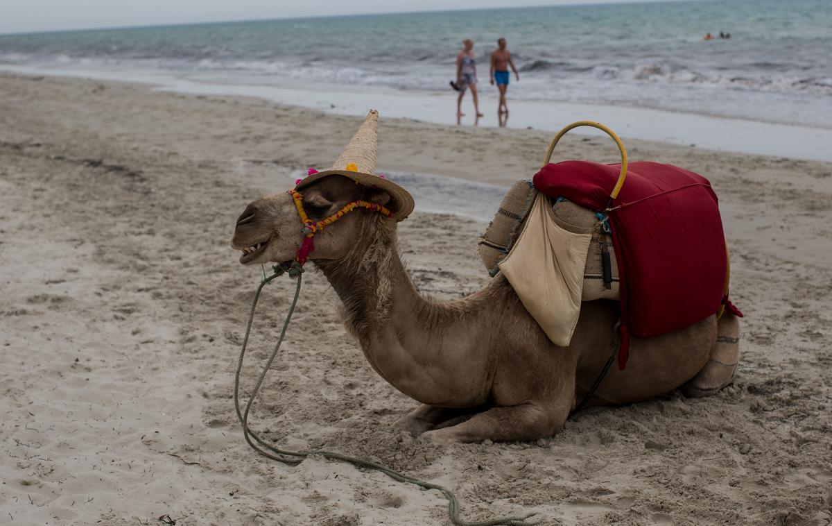 Tunizija plaža | Imate zgrešeni klic iz Tunizije? Zelo verjetno gre za poskus prevare, ki ga je najbolje prezreti, zapis o zgrešenem klicu pa takoj izbrisati. | Foto Getty Images