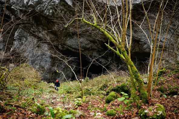 V Uršnji luknji odkrili kosti jamskih živali in sledi neandertalca