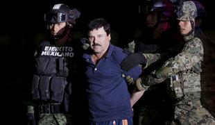 El Chapo že nazaj v zaporu; na begu želel posneti film o sebi