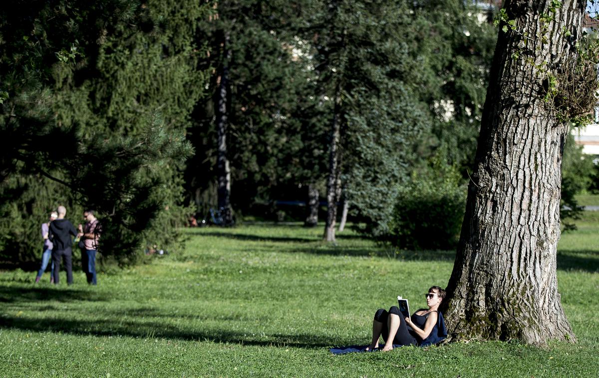 park, park Tivoli, Ljubljana | V krajinskem parku brez predhodnega soglasja zavoda za varstvo narave ni dovoljeno organizirati javnih prireditev, ki bi lahko ogrozile ugodno stanje živalskih vrst in njihovih habitatov ter varstvo naravnih vrednot. | Foto Ana Kovač