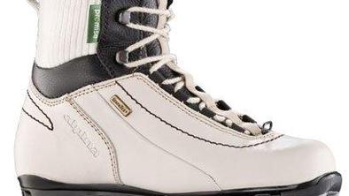 Alpini oblikovalska nagrada red dot