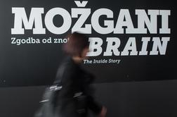 V možganih je za 200 tisoč kilometrov povezav