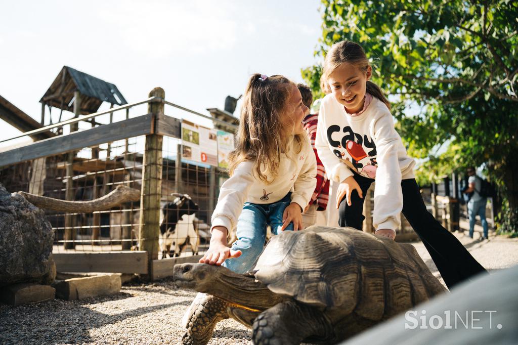 marolt zoo land mcdonalds