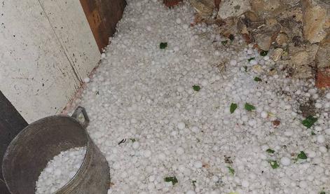 Podrta drevesa, uničene vrtnine in poljščine #foto