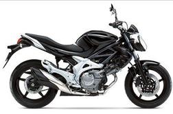 Suzuki gladius