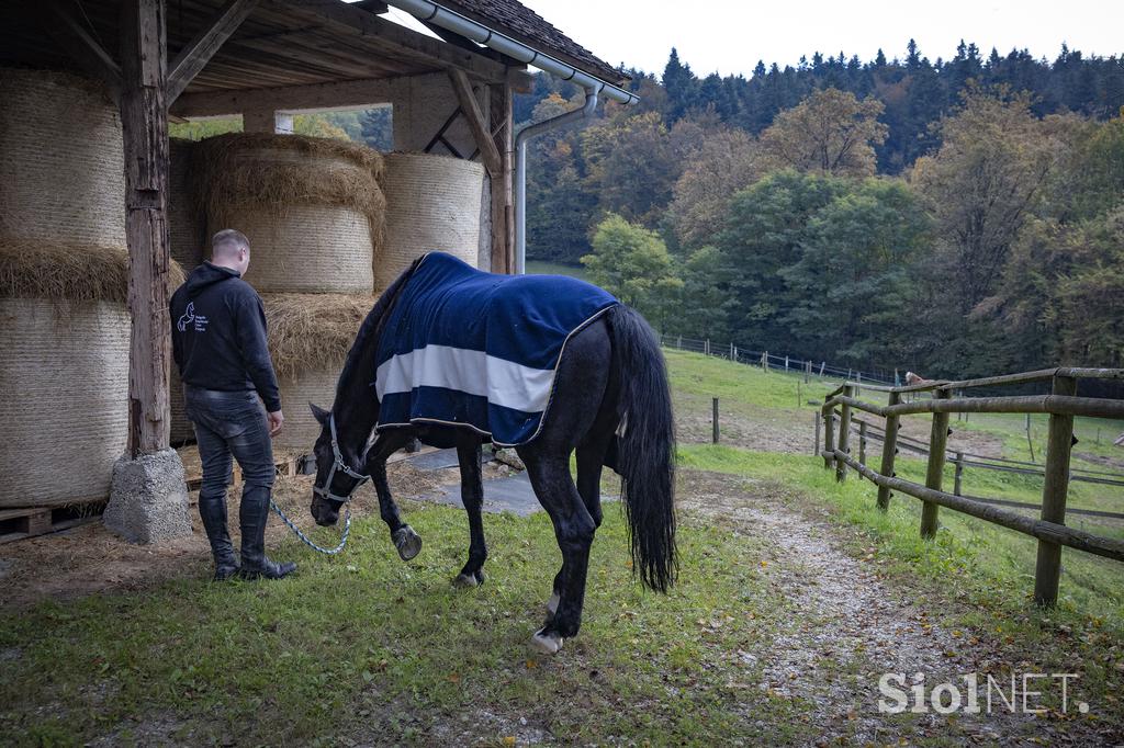 Pedagoško raziskovalni center za konjerejo Krumperk