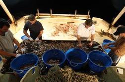 Slovenski ribiči lani ulovili manj rib