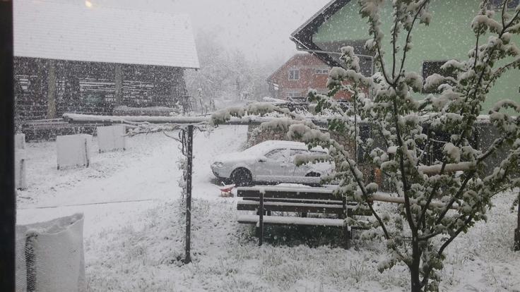 Žiganja vas pri Tržiču. Foto: Alenka Teran Košir | Foto: 