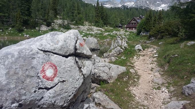 Zavarovalnica Triglav | Foto: arhiv Zavarovalnice Triglav