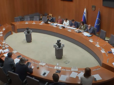 V DZ še ena izredna seja DZ, na kateri bodo odločali o obravnavi zakona o Skoku