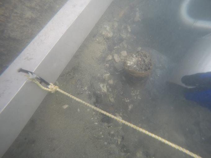 Podvodne arheološke raziskave – Fizine, Portorož | Foto: Zavod za podvodno arheologijo