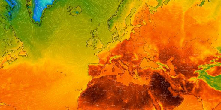 Meteorologi opozarjajo tudi, da je ogromno ekstremnih vremenskih dogodkov v letu 2025 vplivalo tudi na biotsko raznovrstnost tako v kopenskih kot morskih življenjskih okoljih.  | Foto: Shutterstock