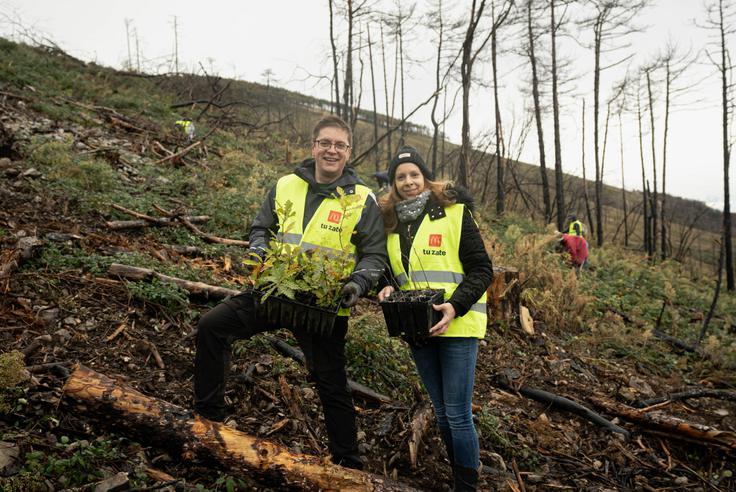 Ekipa je sadila sadike hrasta puhovca in lipovca. | Foto: arhiv naročnika