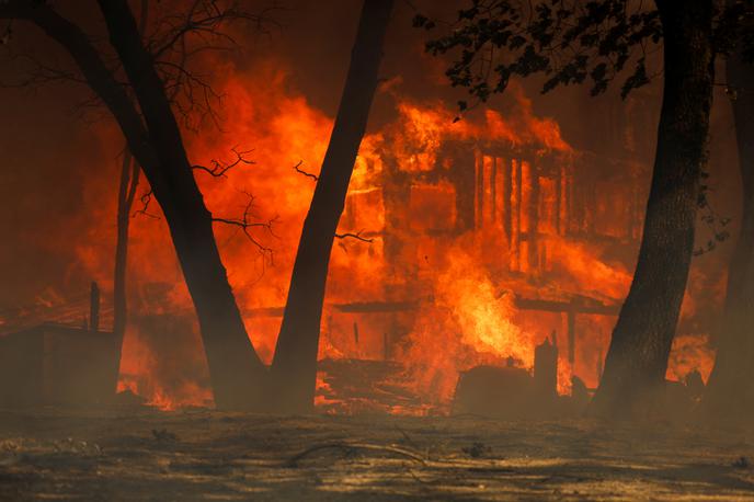 Požar Kalifornija | V megapožaru, ki je izbruhnil nedaleč od mesta Chico, je pogorelo več kot 144.500 hektarjev zemlje. | Foto Reuters