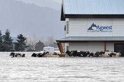 Hude poplave zaustavile življenje v Vancouvru #foto #video