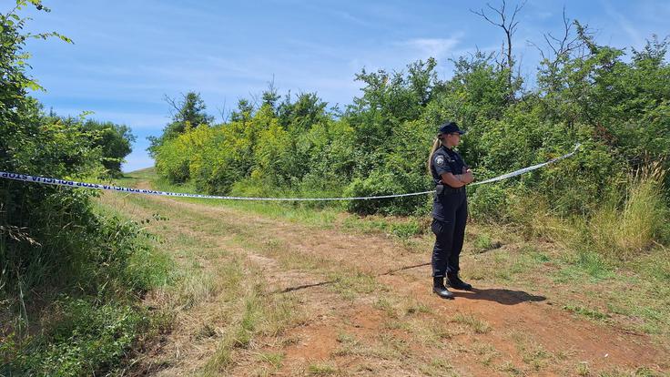 Policisti so na terenu.  | Foto: Pixsell/Sasa Miljevic