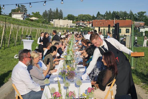 V Mariboru priredili čarobno večerjo med vinogradi
