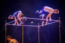 Cirque du Solei Corteo vaja