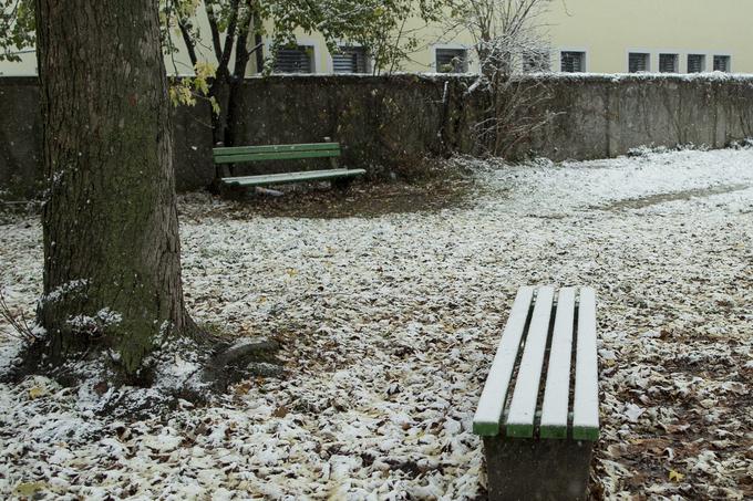Vremenoslovci danes in v torek ne pričakujejo večjih količin novozapadlega snega. | Foto: Ana Kovač