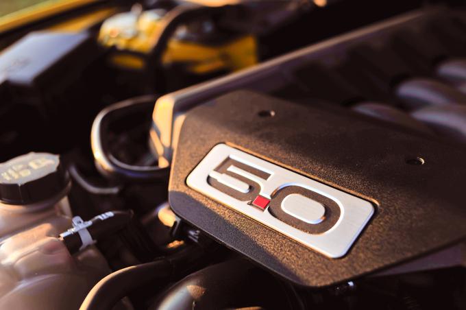 Ford mustang V8 5,0 - fotogalerija testnega vozila | Foto: Ciril Komotar