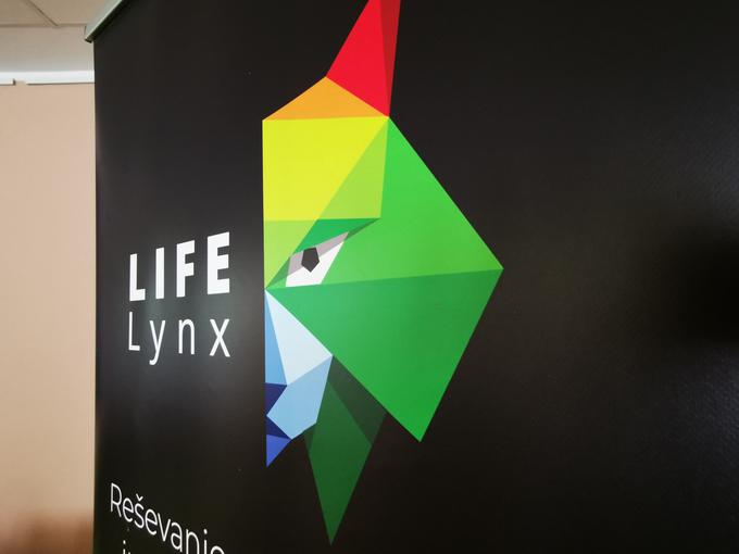 ris life lynx | Foto: STA ,