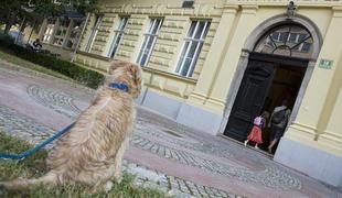 Sviz se bo zavzemal za konstruktivno vzdušje med starši in učitelji