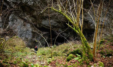 V Uršnji luknji odkrili kosti jamskih živali in sledi neandertalca