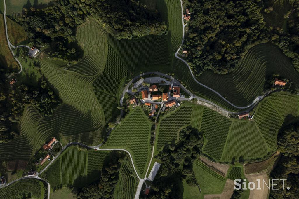 vinorodna štajerska