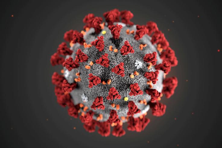 Koronavirus, Covid-19 | Foto: Reuters