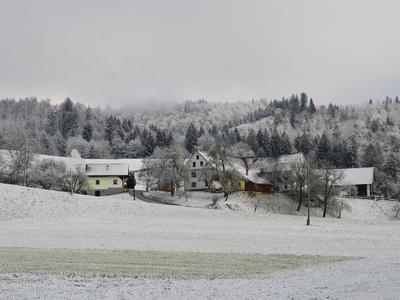 Kdaj lahko pričakujemo sneg do nižin?