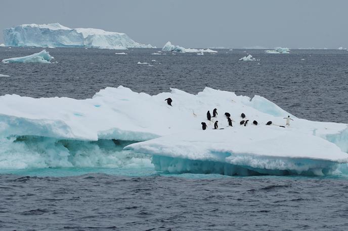 Antarktika | Če bo celotna Arktika ostala brez ledu, se bo po ocenah avtorjev študije to verjetno zgodilo prvič po najmanj 80 tisoč letih, če ne celo po več kot 115 tisoč letih. | Foto Reuters