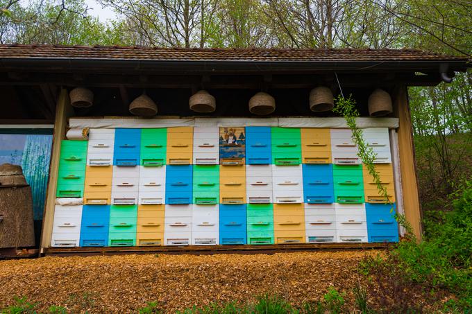 Herman Kisilak Čebelji gradič med čebele kmetija turizem Prekmurje Rogašovci | Foto: Matjaž Vertuš