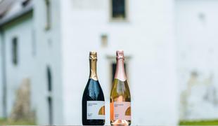 Bonton obdarovanja z vinom: Kako izbrati pravo vino za decembrske praznike