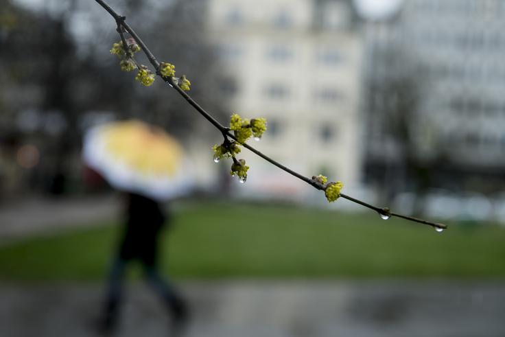 Podnevi bomo namerili največ od 11 do 17, le na severozahodu bo bolj svežih devet stopinj Celzija. | Foto: Ana Kovač