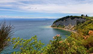 Slovenska plaža se je uvrstila v sam vrh najlepših plaž na svetu