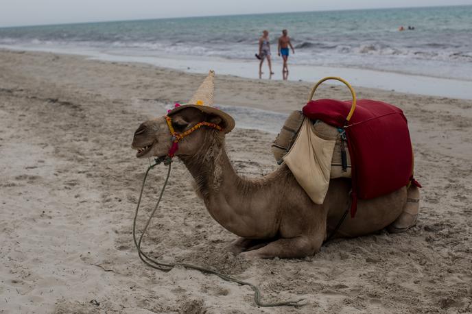Tunizija plaža | Imate zgrešeni klic iz Tunizije? Zelo verjetno gre za poskus prevare, ki ga je najbolje prezreti, zapis o zgrešenem klicu pa takoj izbrisati. | Foto Getty Images