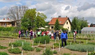 Odprta vrata vrta zdravilnih in aromatičnih rastlin v Žalcu
