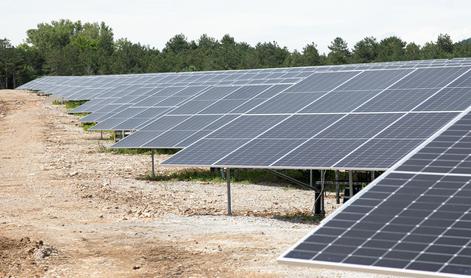 Bo na Štajerskem zraslo največje polje sončnih elektrarn pri nas?