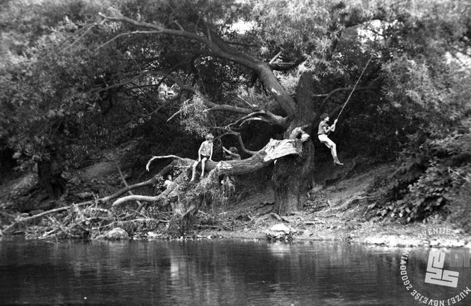 Poletne norčije ob Ljubljanici. Fotografijo je avgusta 1977 posnel Miško Kranjec, hrani pa jo Muzej novejše zgodovine Slovenije.  | Foto: 