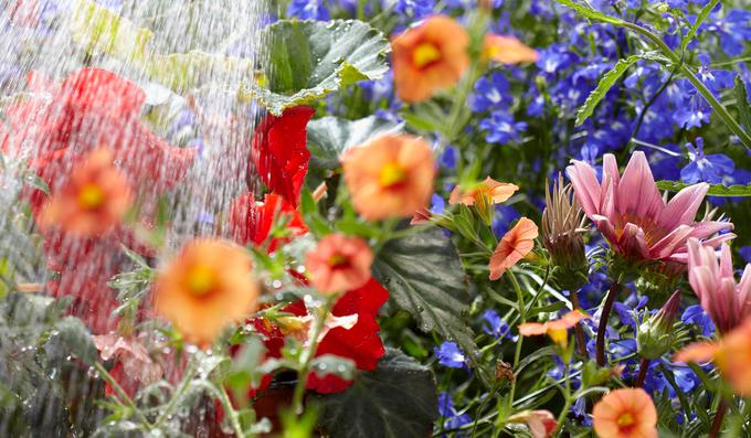 Z ustrezno vrtno opremo je preprosto potešiti žejo vrta in rastlin. | Foto: 