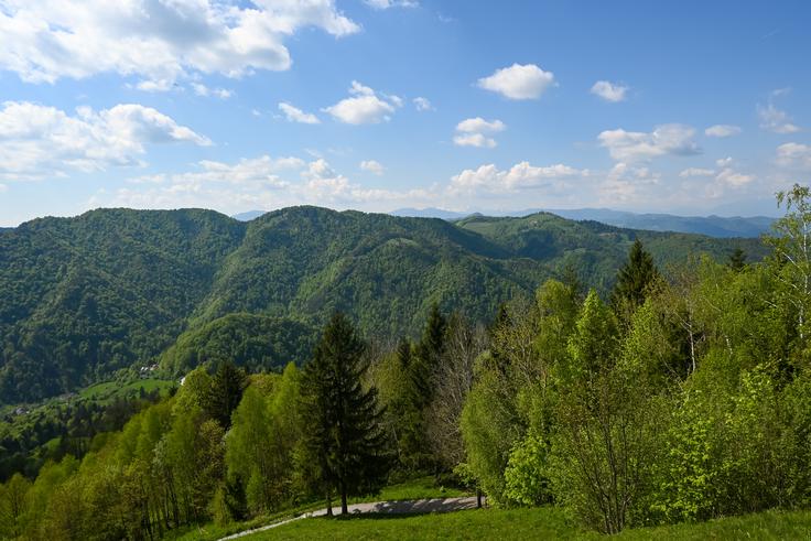 Pogled z Jakoba na prvi del prehojene poti med Osolnikom in Gontarsko planino | Foto: Matej Podgoršek