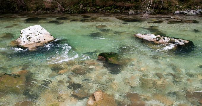 Slovenske reke po čistosti in lepi pokrajini, ki jih obdaja, slovijo tudi v tujini. (foto: Miha Lenič) | Foto: 