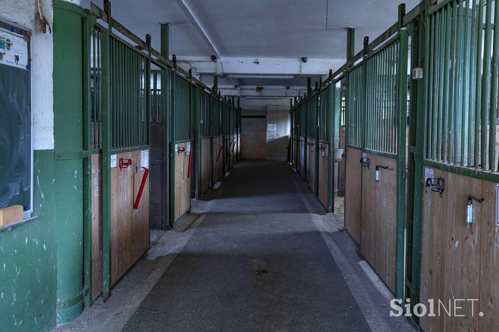 Pedagoško raziskovalni center za konjerejo Krumperk