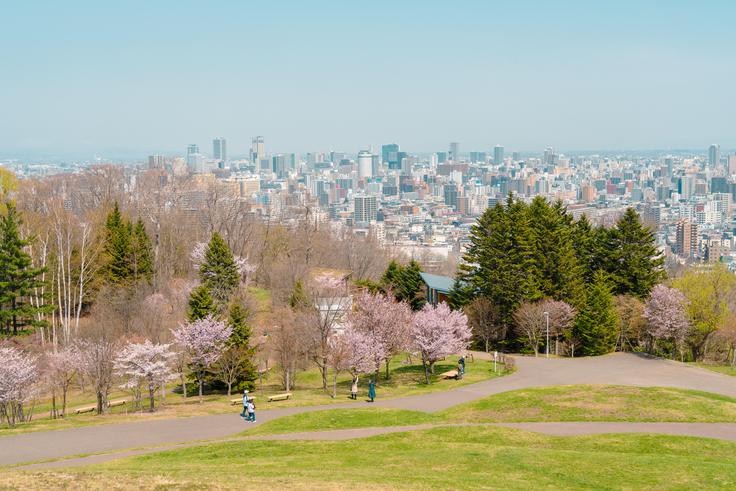 Milan Tučić je v zadnjih letih živel na Japonskem v večmilijonskem mestu Saporo, nato pa se ob koncu prejšnjega leta vrnil v domovino. | Foto: Guliverimage