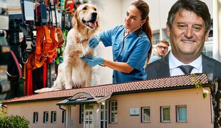 Kateri veterinarji so lani zaslužili največ?