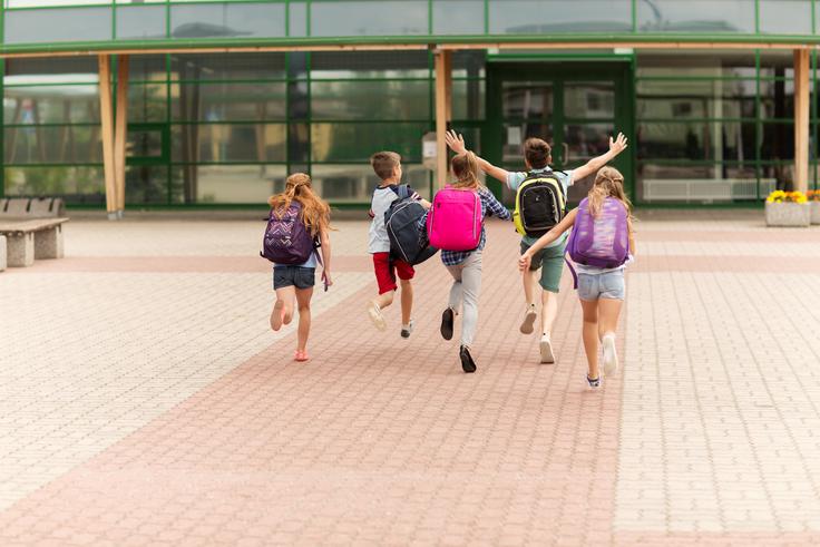 "Želim si, da bi bila tudi naša šola takšna, da bi se učenci radi učili in ohranili zvedavost, iskanje, eksperimentiranje. Nekaj korenitega bi se moralo spremeniti," pravi Mateja Gomboc. | Foto: Shutterstock