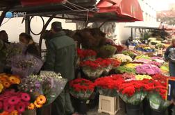 Kako so inšpektorji na ljubljanski tržnici nadzorovali cvetličarje in prodajalce sveč? (video)